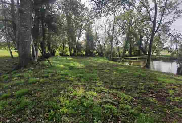 Plot of land à vendre près de Dussac