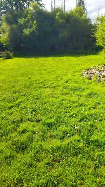 Stone farmhouse to renovate near Glénic