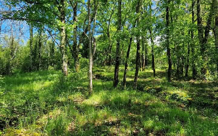 3 bed stone house for sale near Dordogne and Lot