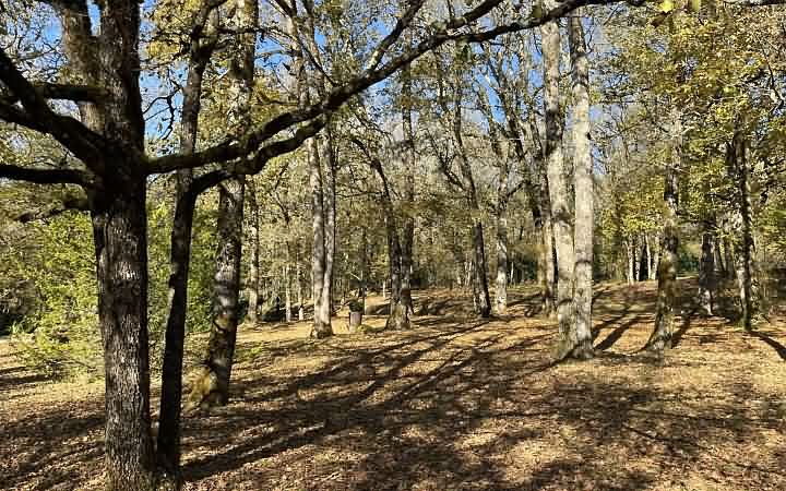 4 bed stone house for sale near Aubas
