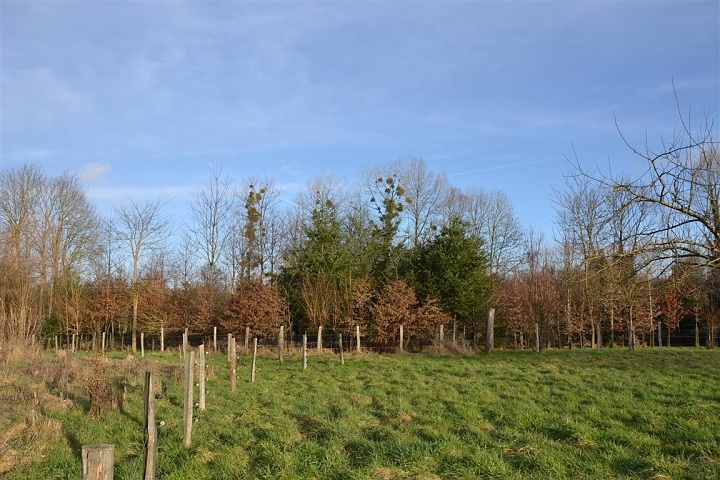 Barn to renovate near Cisai Saint Aubin