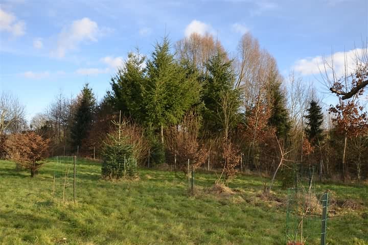 Barn to renovate near Cisai Saint Aubin
