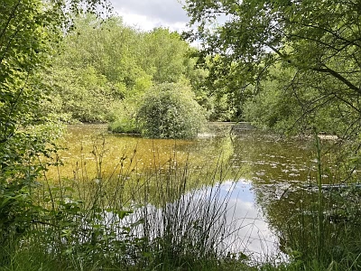 Plot of land for sale near Caribet