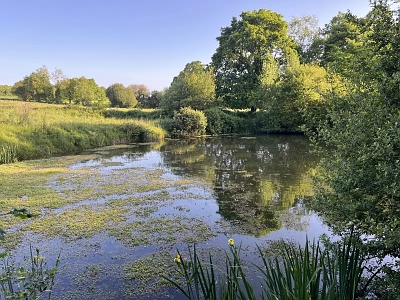 Plot of land for sale near Treve