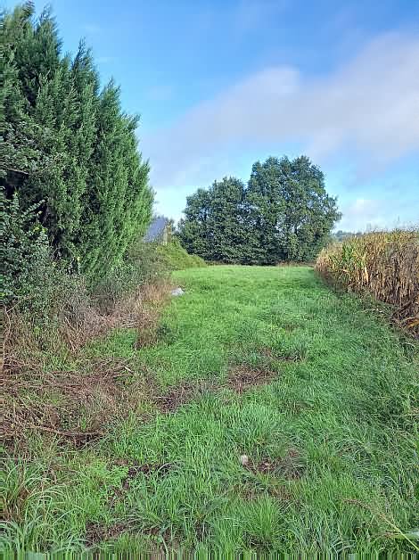 Stone house to renovate near Missiriac