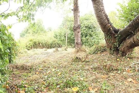 Stone house to renovate near Lapenty