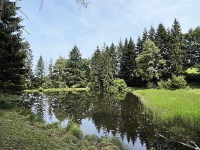 House for sale near Farebout