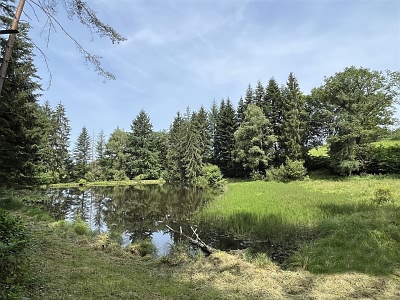 House for sale near Farebout