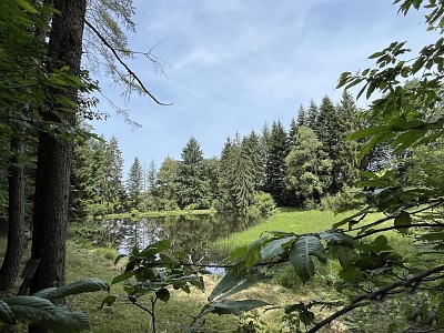 House for sale near Farebout