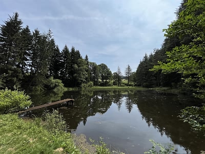 House for sale near Farebout