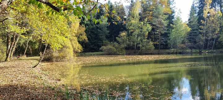 House for sale near Goulat