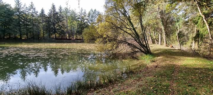 House for sale near Goulat