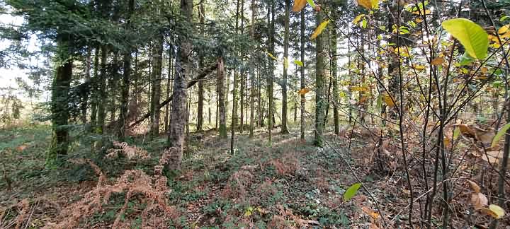 House for sale near Goulat