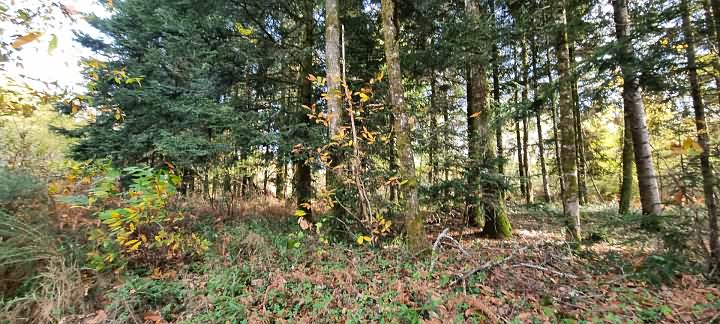 House for sale near Goulat
