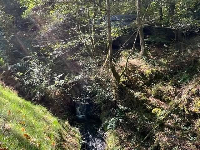 Watermill to renovate near Affieux