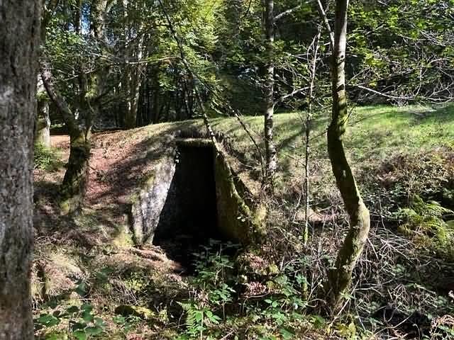 Watermill to renovate near Affieux