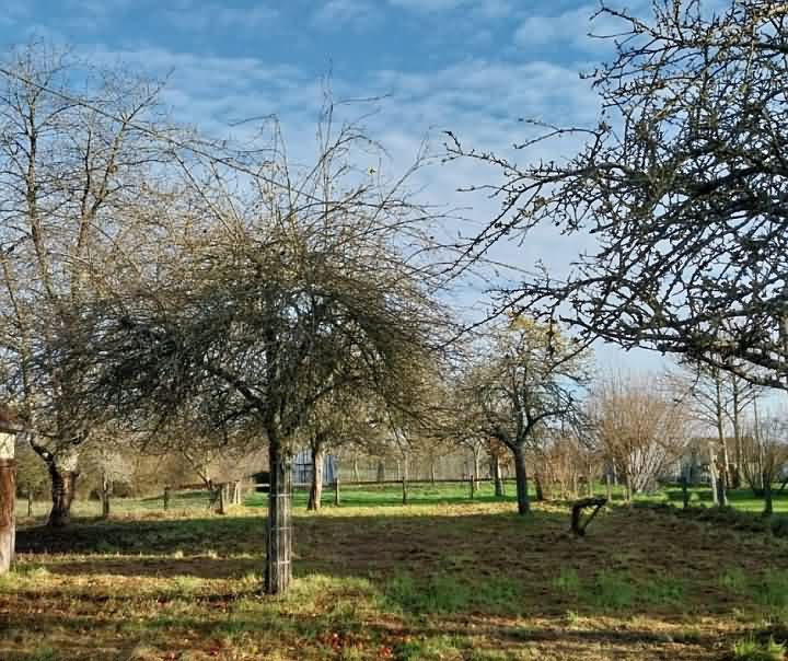 Stone barn to renovate near Rabodanges