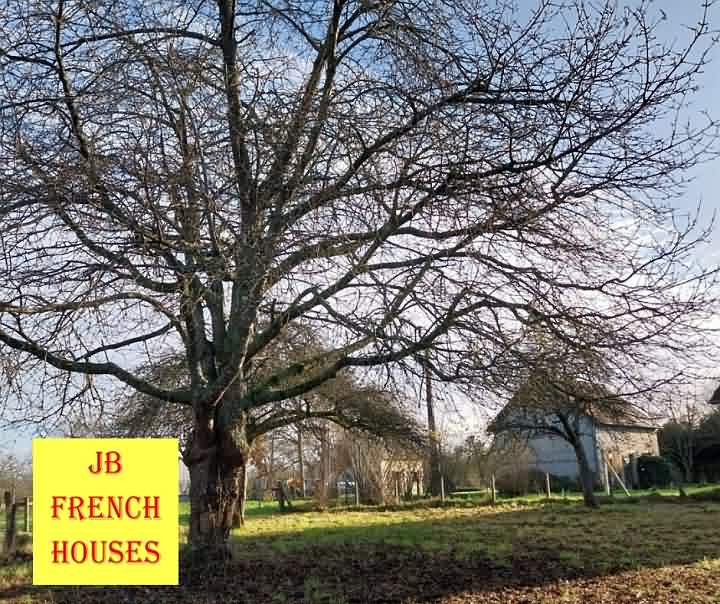 Stone barn to renovate near Rabodanges