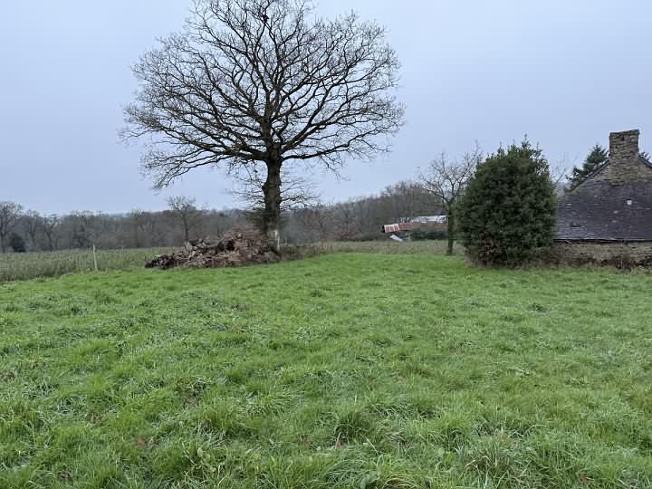 Stone barn to renovate near Treve