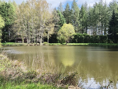 Plot of land for sale near Goulat