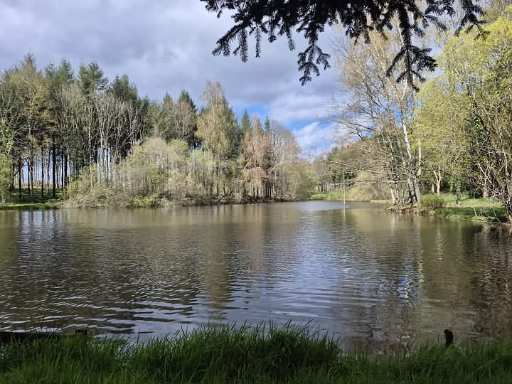 Plot of land for sale near Goulat