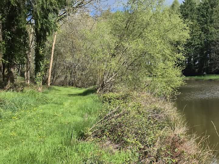 Plot of land for sale near Goulat