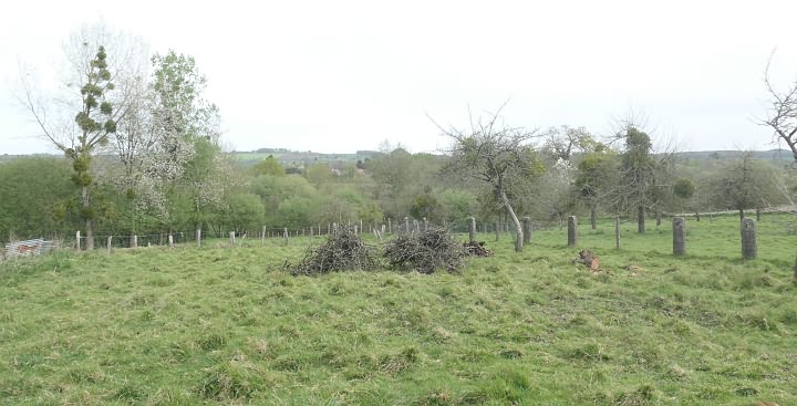 Stone barn to renovate near Vengeons