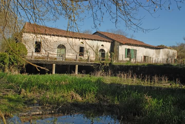 Stone barn to renovate near Vanxains
