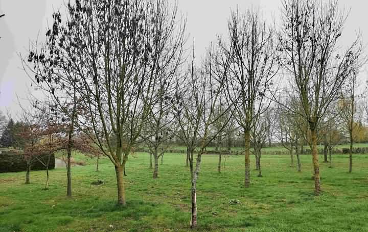 Plot of land for sale near Averton