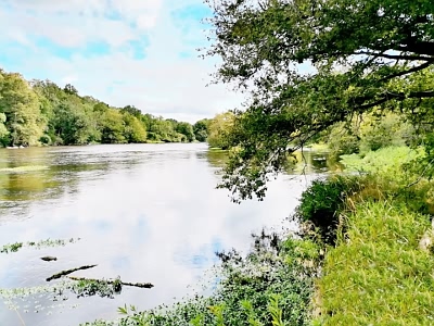 Plot of land for sale near Vienne And Haute Vienne