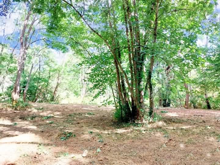 Plot of land for sale near Vienne And Haute Vienne