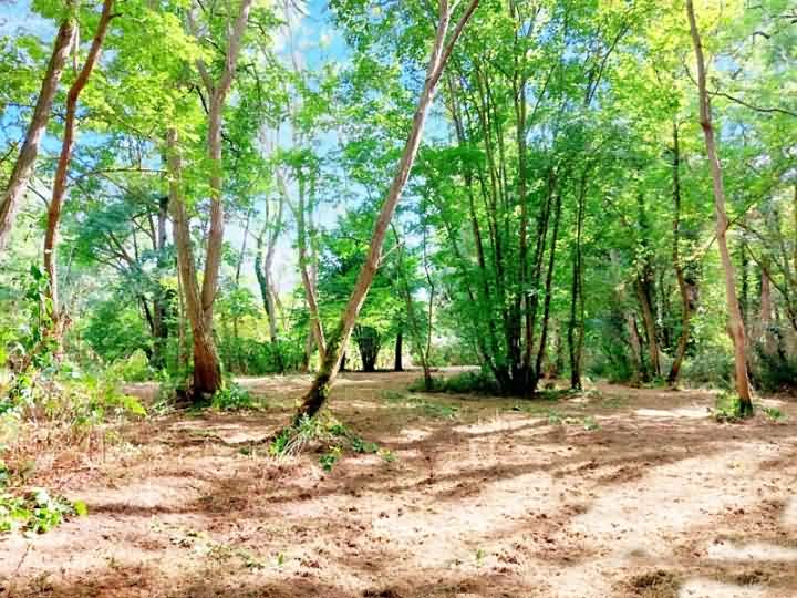 Plot of land for sale near Vienne And Haute Vienne