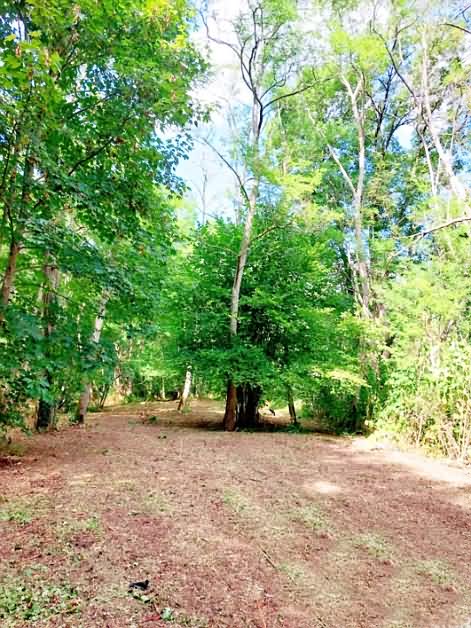 Plot of land for sale near Vienne And Haute Vienne