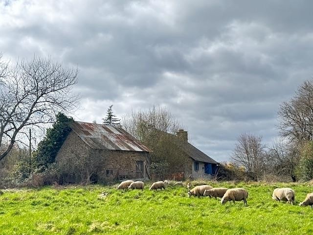 2 bed stone house for sale near Affieux