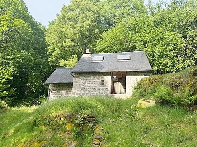 Stone cottage to renovate near Affieux