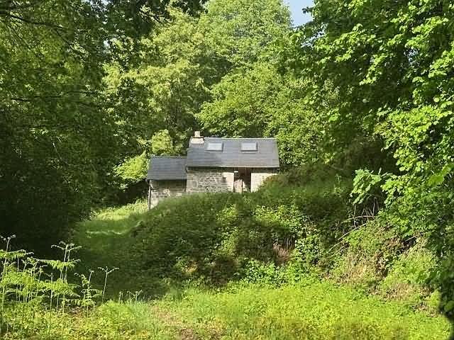 Stone cottage to renovate near Affieux